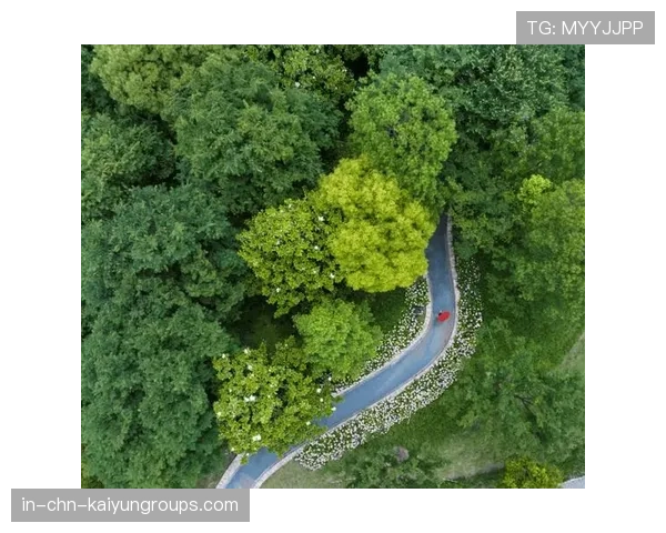 俱乐部积极探索“青少年+绿色生态+科技”融合新路径，推动行业绿色升级